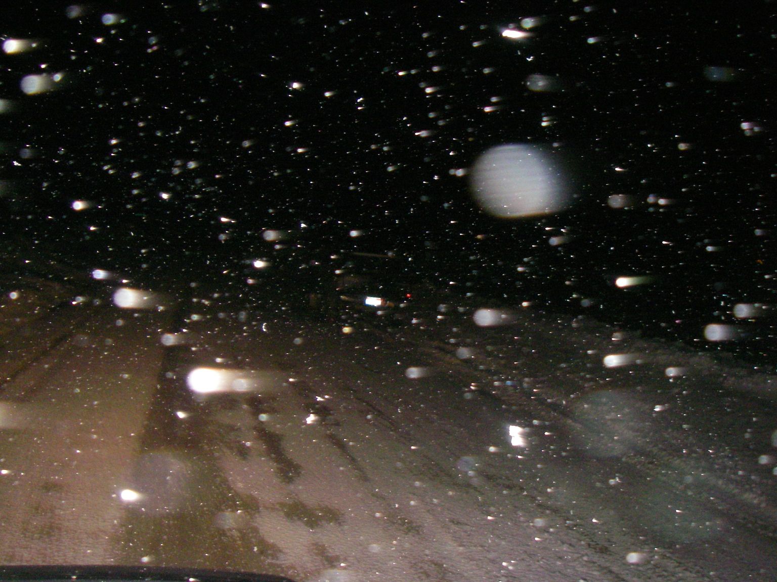 Flakes at Night